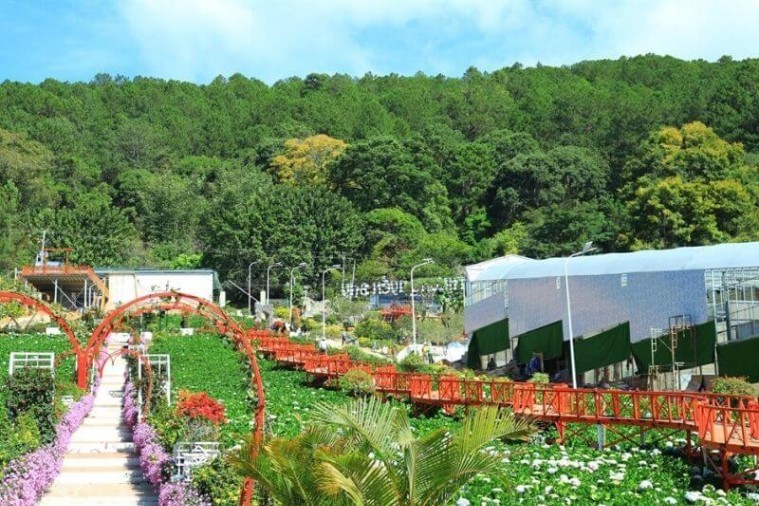 Vườn Thượng Uyển Bay - Đà Lạt